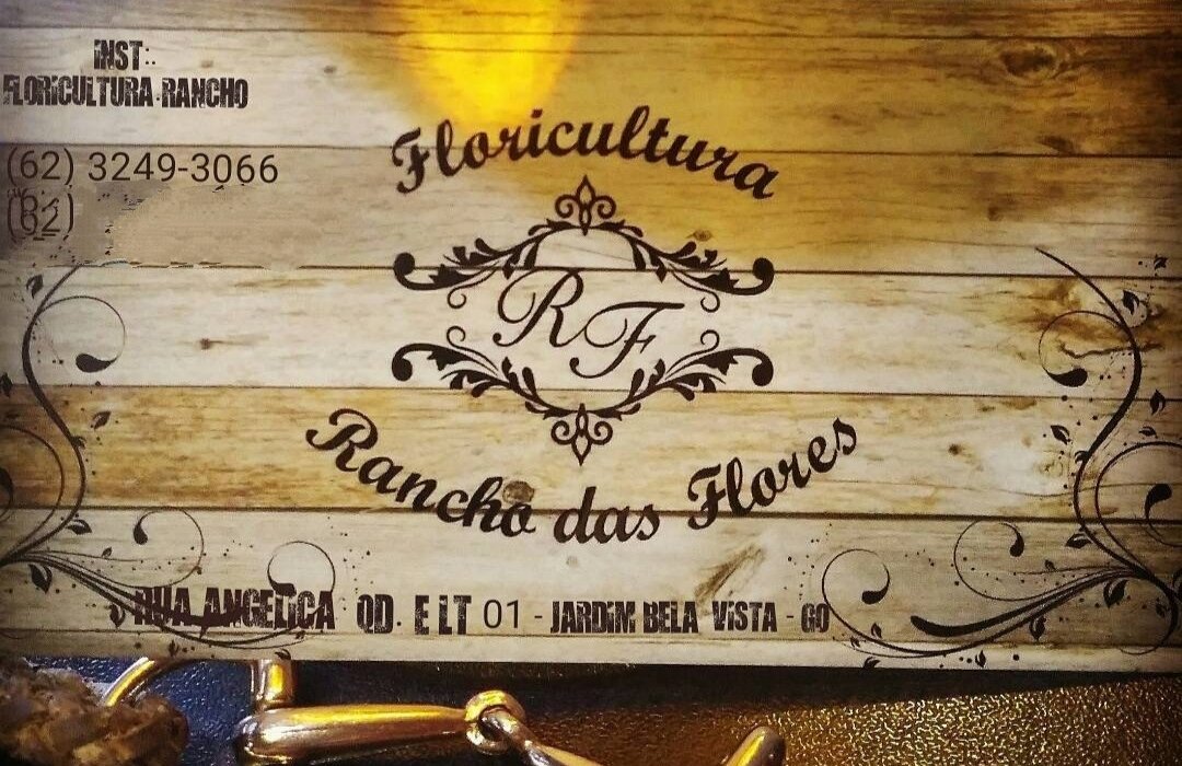 Floricultura Rancho das Flores - endereço, 🛒 comentários de clientes,  horário de funcionamento e número de telefone - Lojas em Goiânia -  Nicelocal.br.com